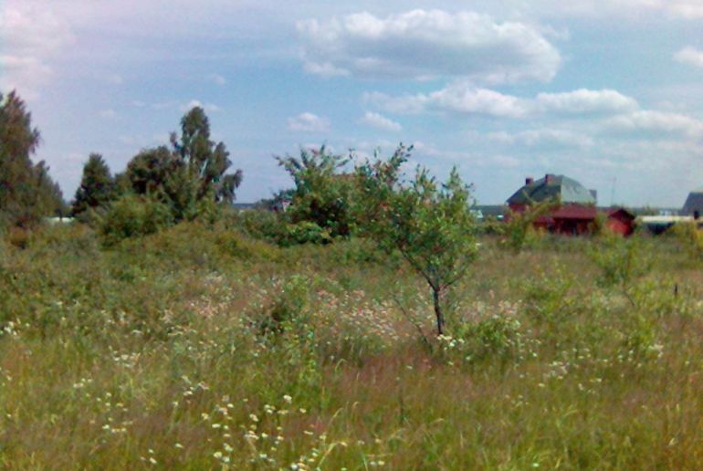 Земля в Подмосковье, Оксино