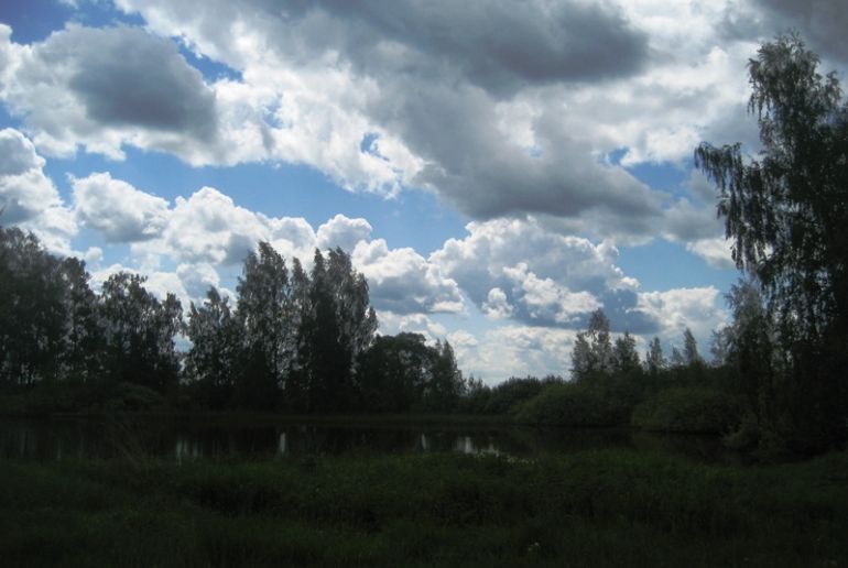 Земля в районе Дмитровский, Новокарцево