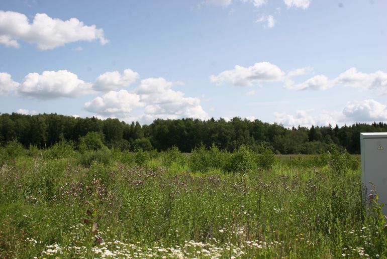 Земля в районе Наро-Фоминский, Клоково