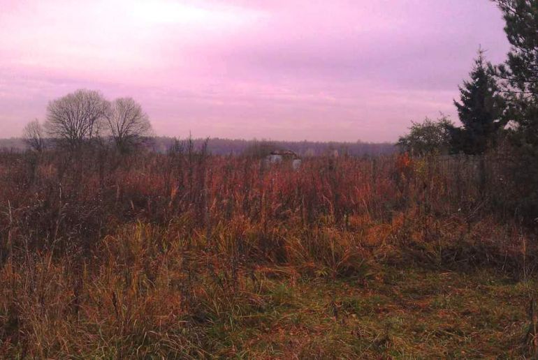 Земля в районе Талдомский, Бородино