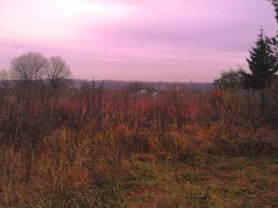 Участок Городской округ Электрогорск, Бородино