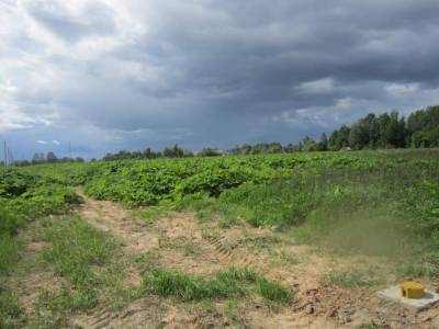 Участок Городской округ Электрогорск, Великий Двор