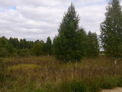 Участок Городской округ Электрогорск, Сляднево