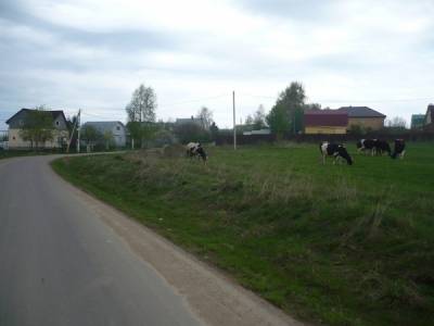 Участок Городской округ Орехово-Зуево, Ябдино