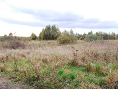 Участок Городской округ Орехово-Зуево, Мякишево