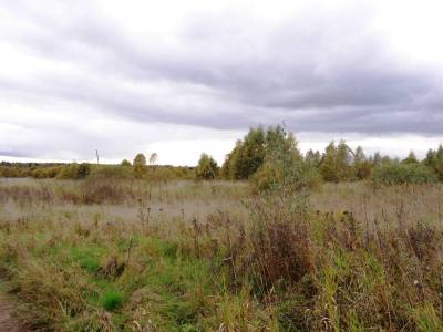 Участок Городской округ Электрогорск, Мякишево