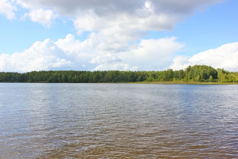 Земля в Подмосковье, Никульское