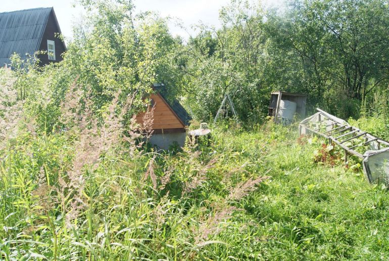 Деревня раменский. Дачный поселок в Гжели. Участки земли в Гжели. Дачный поселок Гжельский лес. СНТ Гжель лето.