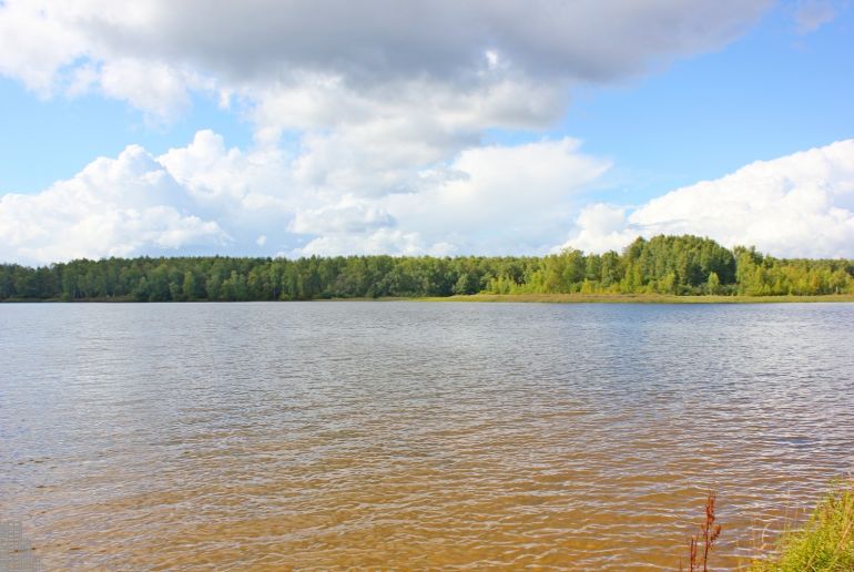 Земля в Подмосковье, Никульское