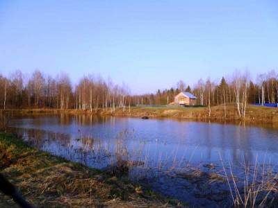 Участок Городской округ Электрогорск, Воргаш