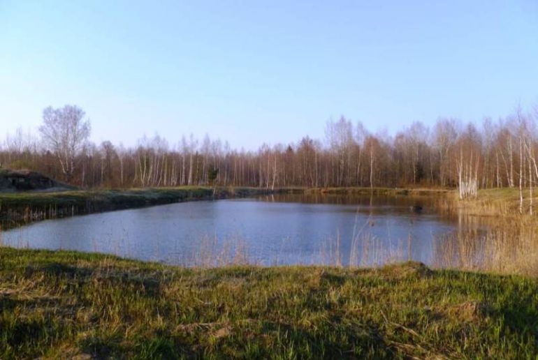 Земля в районе Талдомский, Воргаш