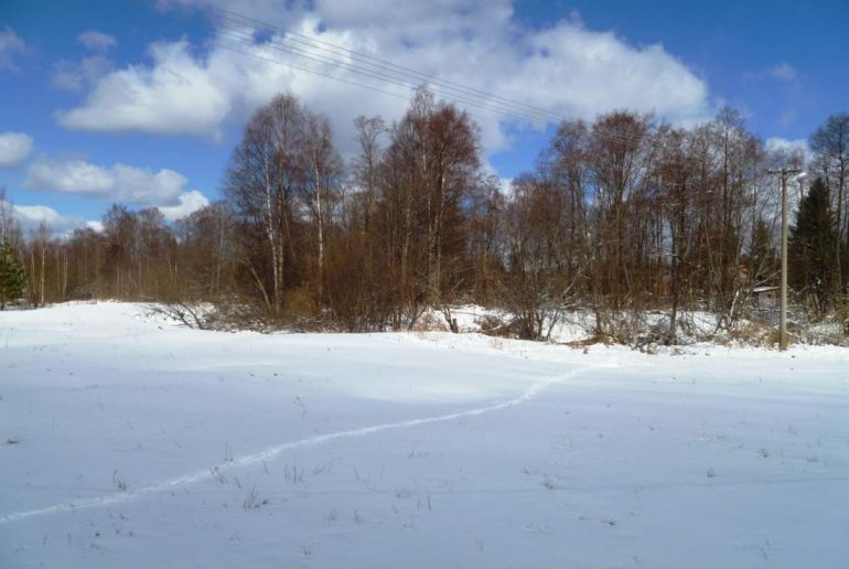 Земля в районе Талдомский, с/т Дружба