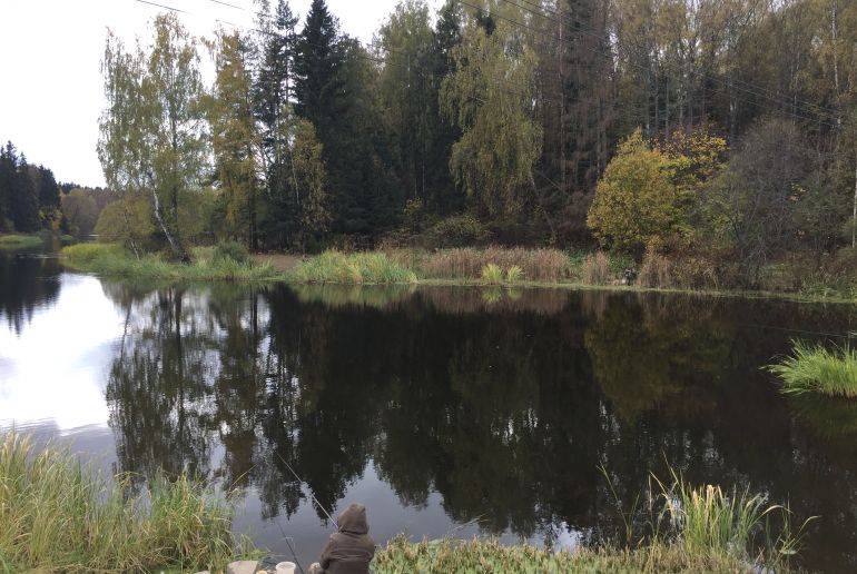 Земля в Подмосковье, Степаньково