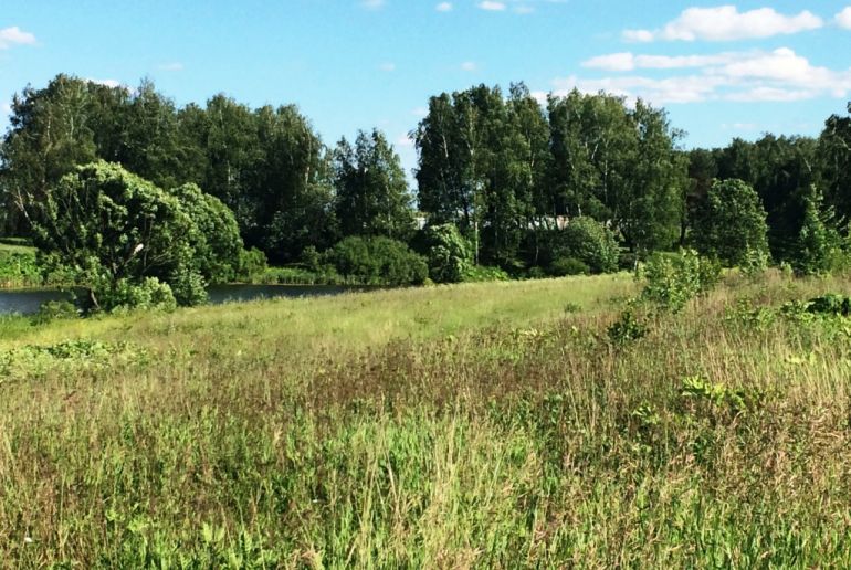 Земля в Подмосковье, Подольск