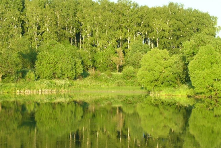 Земля в районе Подольский, Щапово