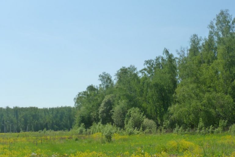 Земля в Подмосковье, Щапово