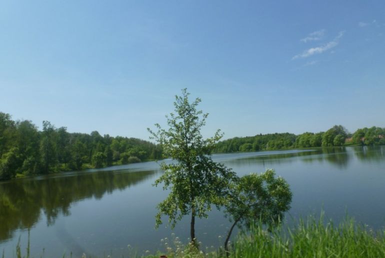 Земля в Подмосковье, Щапово