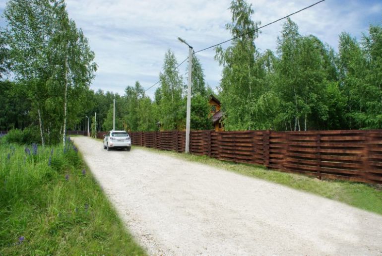 Земля в Подмосковье, Изумрудные кроны