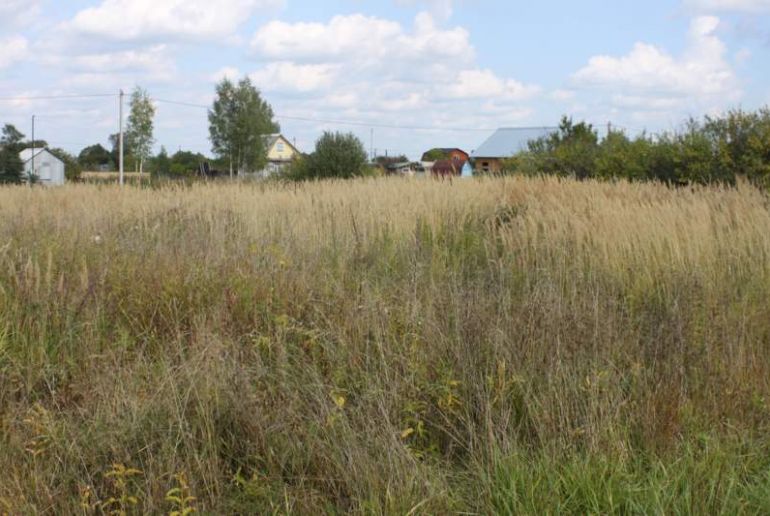 Земля в районе Талдомский, Карачуново