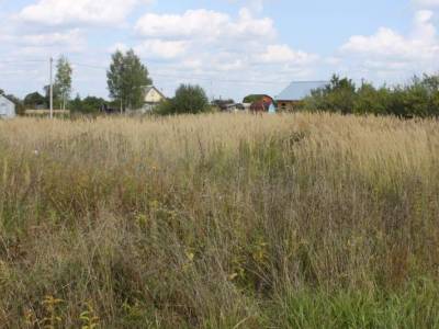 Участок Городской округ Электрогорск, Карачуново