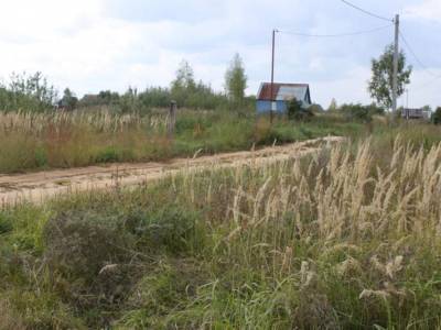 Участок Городской округ Орехово-Зуево, Карачуново