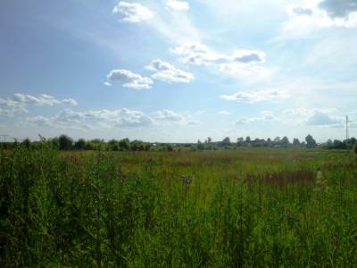 Участок по Дмитровке в деревне, Квашёнки