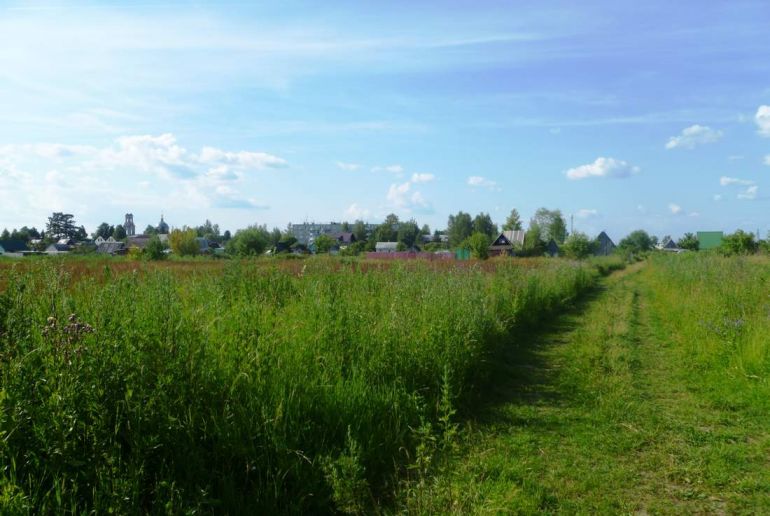 Земля в районе Талдомский, Квашёнки