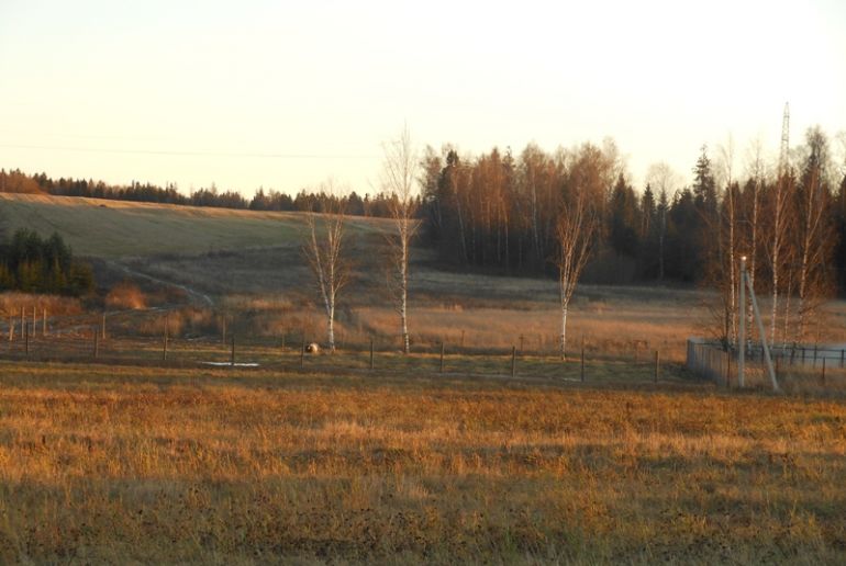 Земля в районе Дмитровский, д. Григорково