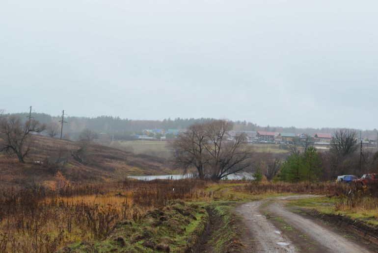 Земля в Подмосковье, Скрипово