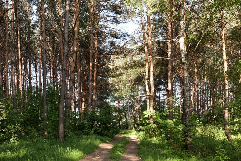 Земля в Подмосковье, Велегож–Парк