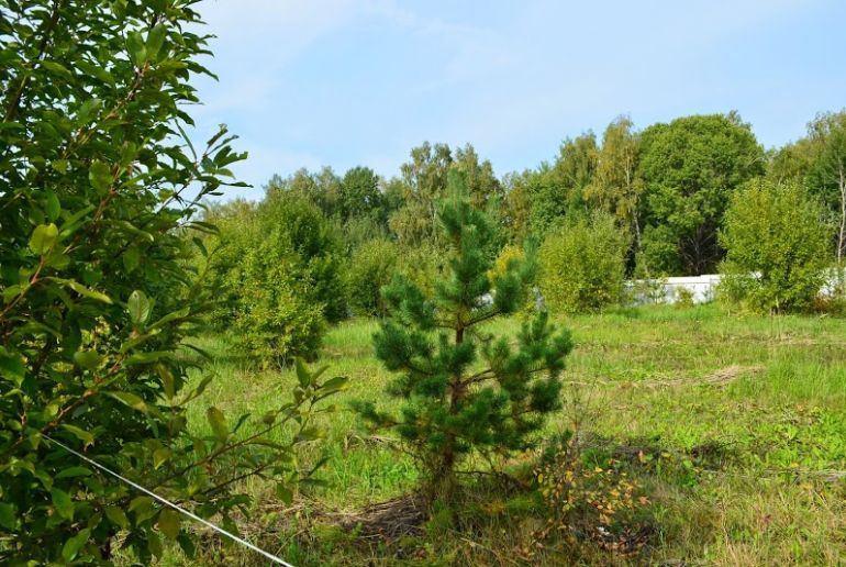 Земля в районе Серпуховский, Велегож–Парк