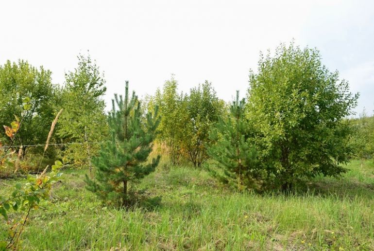 Земля в районе Серпуховский, Велегож–Парк