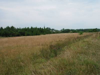 Участок Городской округ Электрогорск, Старая Хотча