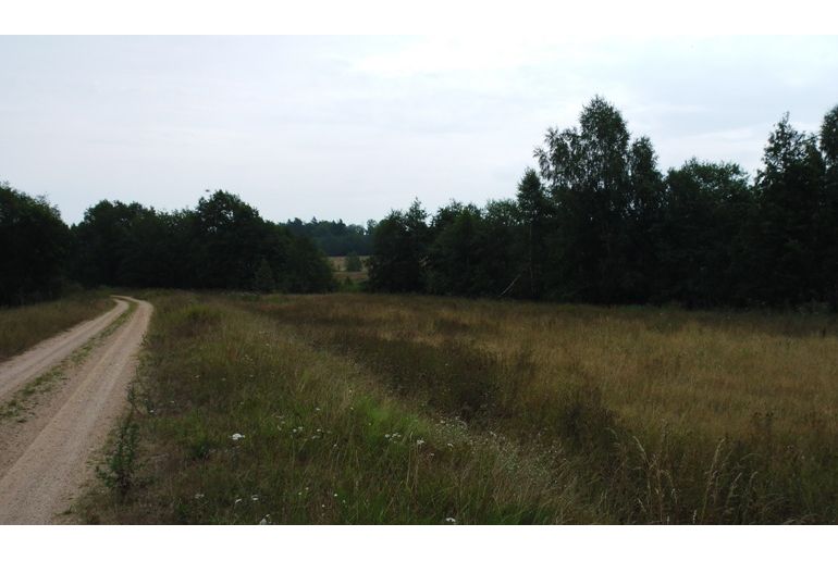 Земля в районе Талдомский, Старая Хотча