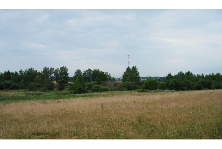 Земля в районе Талдомский, Старая Хотча