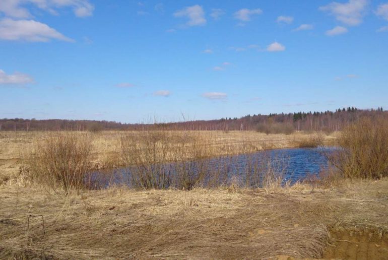 Земля в районе Талдомский, Волкуша