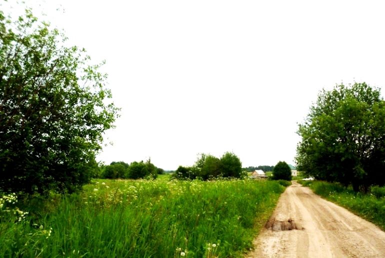 Земля в районе Дмитровский, свх Буденновец