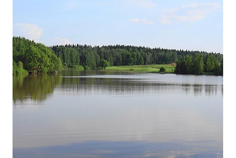 Земля в районе Подольский, Песье