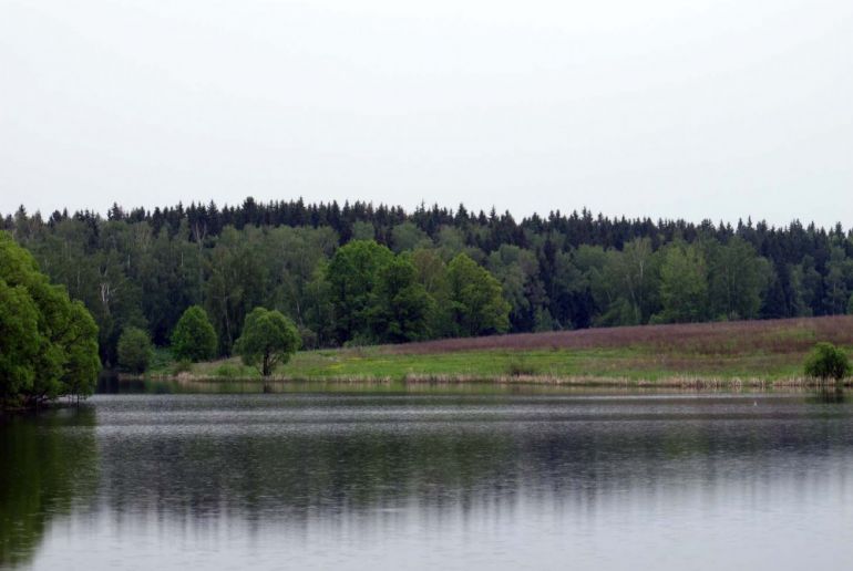 Земля в районе Подольский, Песье