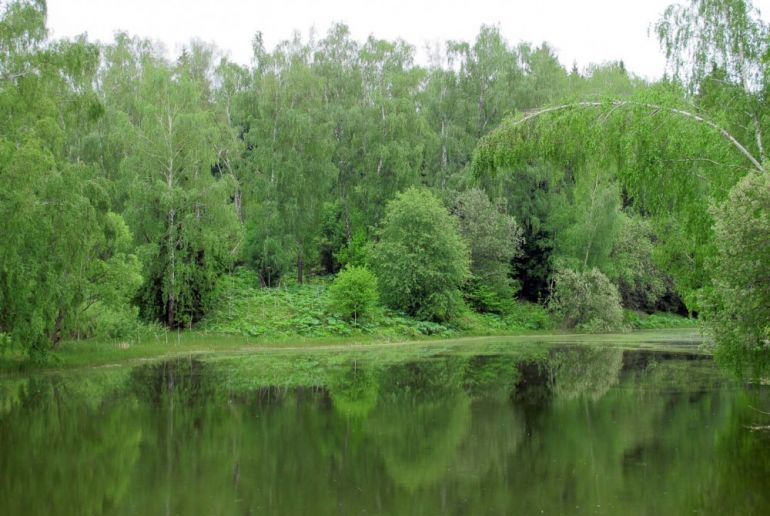 Земля в районе Подольский, Песье