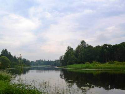 Участок по Дмитровке в деревне, д.Маклаково