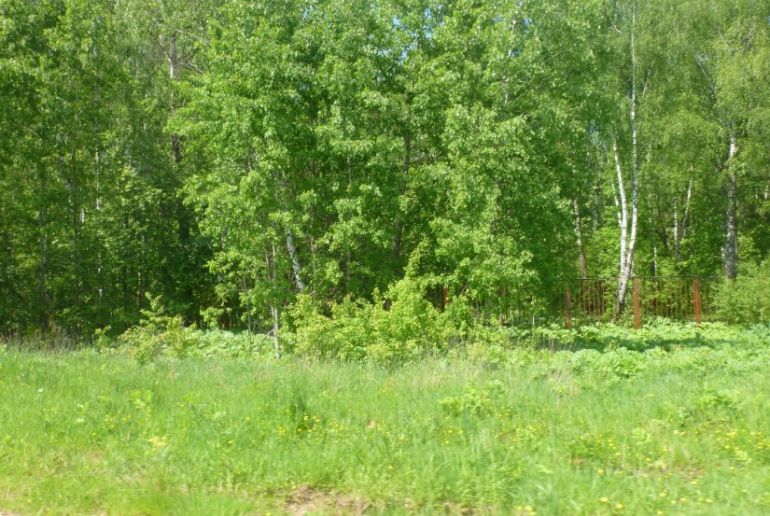 Земля в районе Подольский, Песье