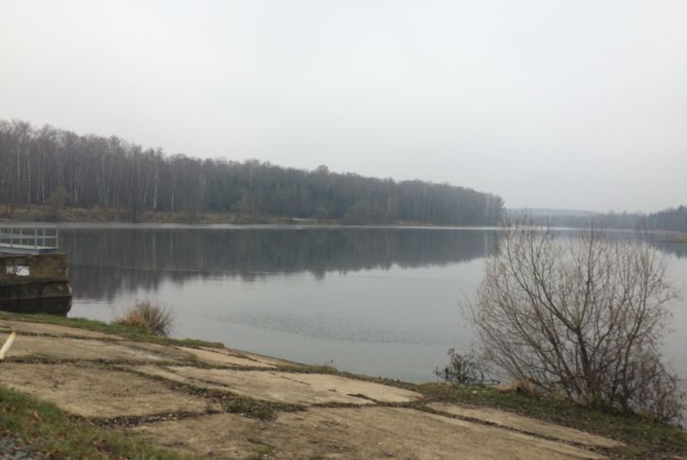 Земля в районе Подольский, Песье