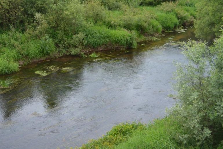 Земля в Подмосковье, Бурцево