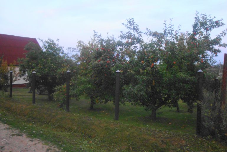 Земля в Подмосковье, Лысая гора