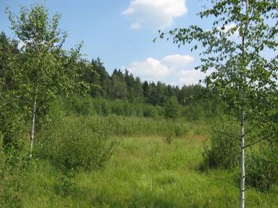 Участок Городской округ Орехово-Зуево, Иваньково