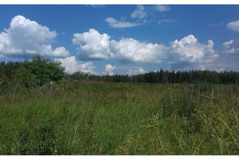 Земля в районе Дмитровский, Татищево