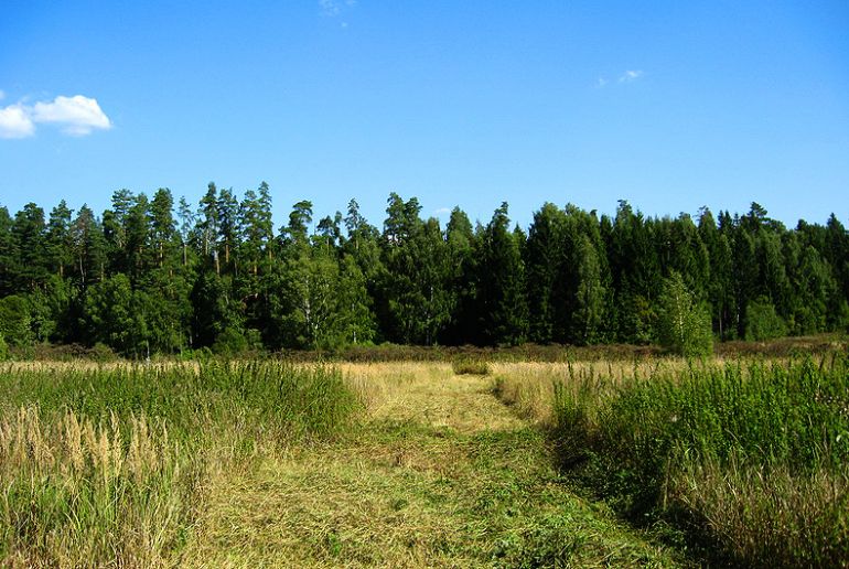 Земля в Подмосковье, Иваньково