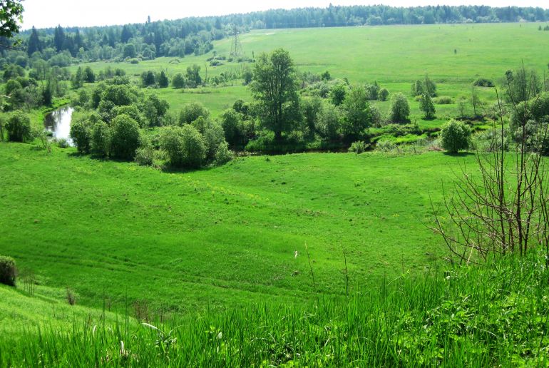 Земля в Подмосковье, Глядково