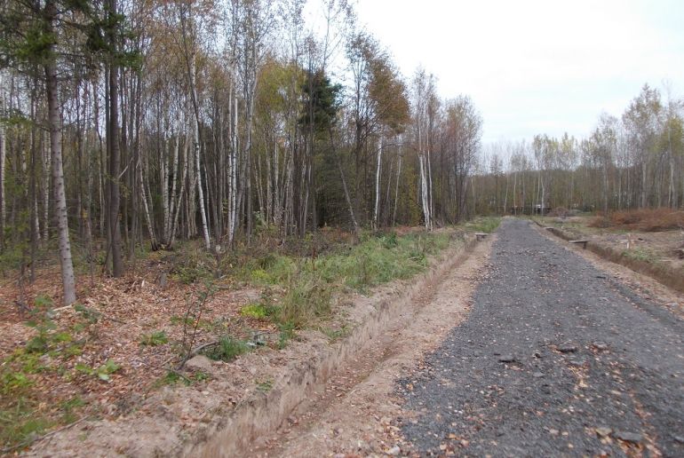 Земля в Подмосковье, Бавыкино